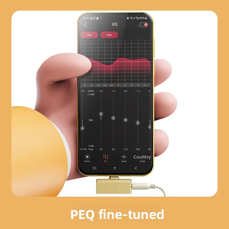 FiiO SNOWSKY TinyA/B：Type-C接続、 - Audio Without Music のレビューと価格